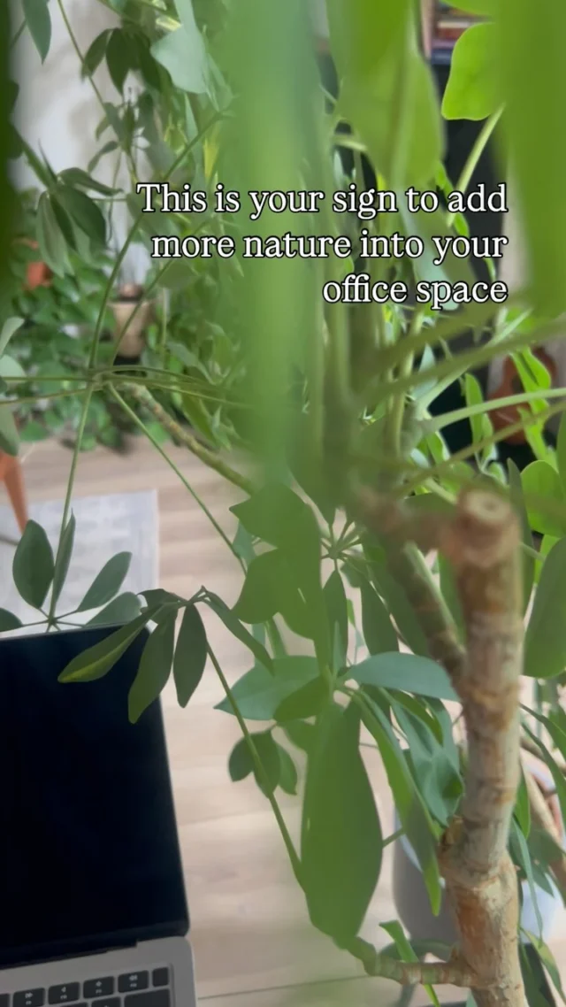 This is your sign!! 🪴 🌿 🪴 check out all the benefits of having more plants in your office space 👇 
.
1. Improves your air quality. Aka more quality clean oxygen in your lungs and helping your brain 🧠 
.
2. Reduces your stress and anxiety. Studies found that people with plants at work🪴 felt more relaxed, and happier 😁
.
3. Increased your productivity and focus 🧘‍♀️ 
.
4. Noise reduction. Yup! Certain plants can actually help absorb background noise in open plan offices. 
.
5. Boosted creativity. Just SEEING plants actually enhances creative thinking and problem solving. 
.
So watch those plants grow! And contact us to help your business grow 🪴
.
#officespace #plants #officetips #homeoffice